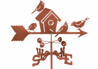 birds and birdhouse